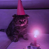 thug elegance 臟車