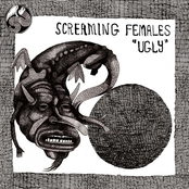 Screaming Females: Ugly