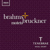 Brahms & Bruckner: Motets