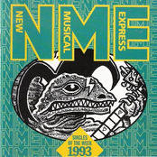 NME singles of the week 1993