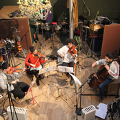 Teotima Ensemble