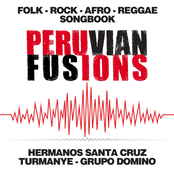 Peruvian Fusions
