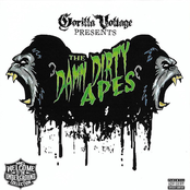 The Damn Dirty Apes