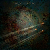 Brother ape III