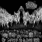 Of Catharsis and the Dying World