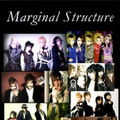 marginal structure
