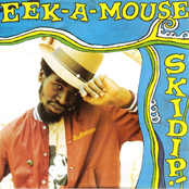 Eek A Mouse: Skidip