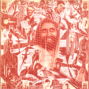 Destrambelhar Ou Nao