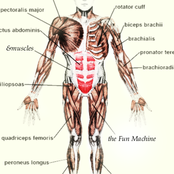 & Muscles EP