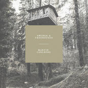 Swings & Treehouses