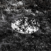 Sleepwalker
