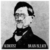 Brain Bleach