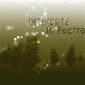 Efforts by Intricate