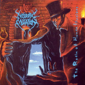 The Realm of Human Illusion