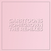 Homegrown - The Remixes