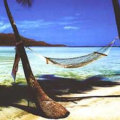 Tranquilo y Tropical