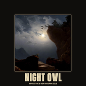 Night Owl - Single