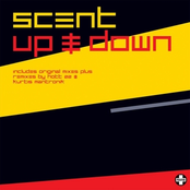 Up & Down by Scent