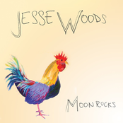 Jesse Woods: Moon Rocks