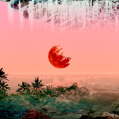 사막꽃 (Desert Flower)