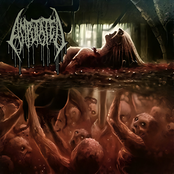 Wading through Rancid Offal