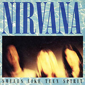 More Than A Feeling by Nirvana