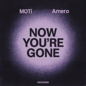 Now You're Gone - Single
