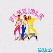 Flexible - Single