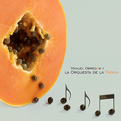 Santo Negro by La Orquesta De La Papaya