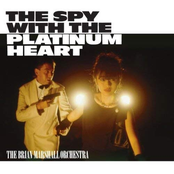 The Spy With A Platinum Heart