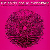 The Psychedelic Experience