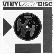 The Stag / Strahlsund