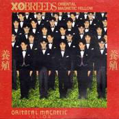養殖 XO BREEDS