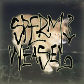 Sperm Weasel