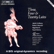 Music for Three, Four, And Twenty Lutes
