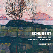 Busch Trio: Schubert: Trio Opus 100, Sonatensatz & Notturno