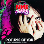 Pictures of You: A Tribute to Godlike Geniuses The Cure