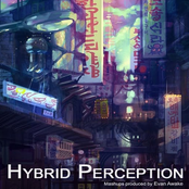 Hybrid Perception