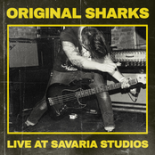 Live at Savaria Studios