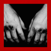 DAMNAGE: Damnage No.2