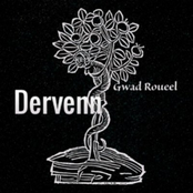 dervenn