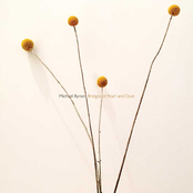 Bridges of Pearl and Dust