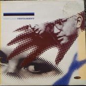 The Last Testament