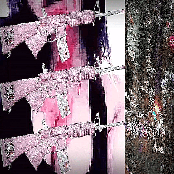 HELLO KITTY CAMO