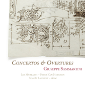 Sammartini: Concertos & Overtures