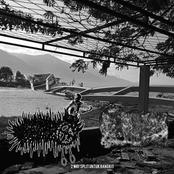 2 Way Split Untuk Bangkit