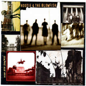 Hootie & The Blowfish: Cracked Rearview
