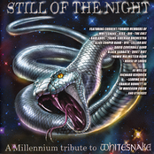 Still Of The Night: A Millennium Tribute To Whitesnake
