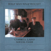 When The Evening Sun Goes Down by Half Man Half Biscuit
