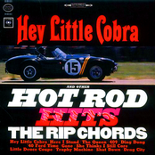 Hey Little Cobra
